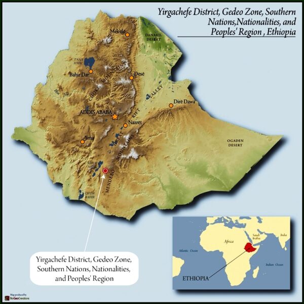 Ethiopia Guji Natural - Image 4