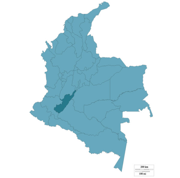 Colombia Huila Pitalito El Tiple Supremo Washed - Image 2